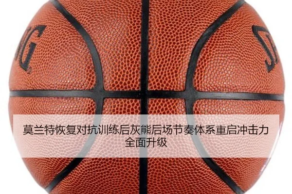 莫兰特恢复对抗训练后灰熊后场节奏体系重启冲击力全面升级